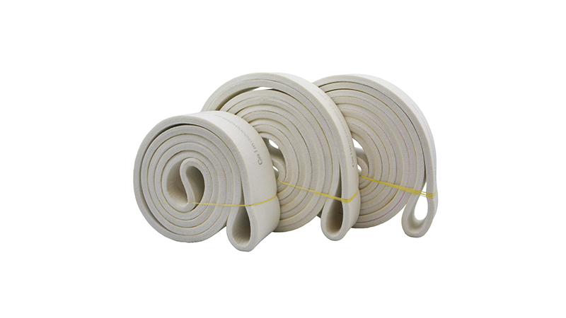 Cinta transportadora de poli&eacute;ster