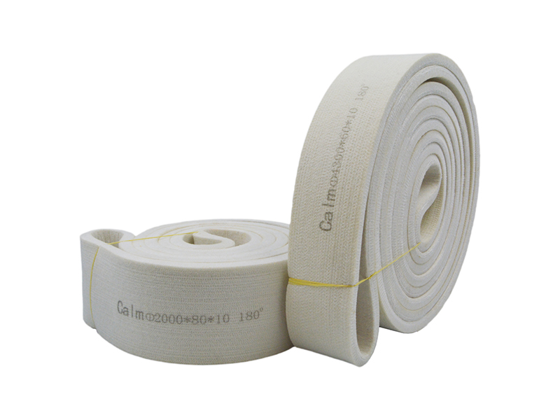 Cinta transportadora de poli&eacute;ster